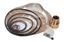 Picture of Air motor repair kit